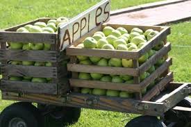 apple cart